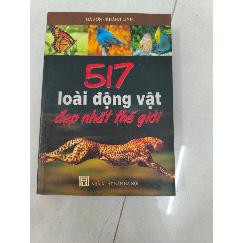 517 loài động vật đẹp nhất thế giới  413032