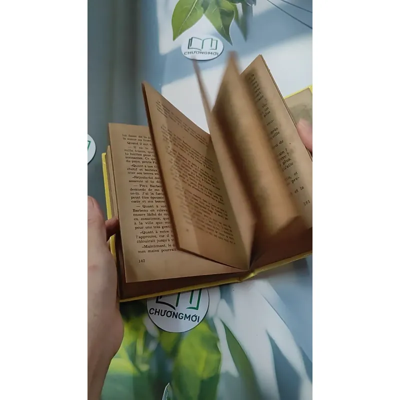 [MIỄN PHÍ BỌC SÁCH] La Petite Fadette - George Sand 749583