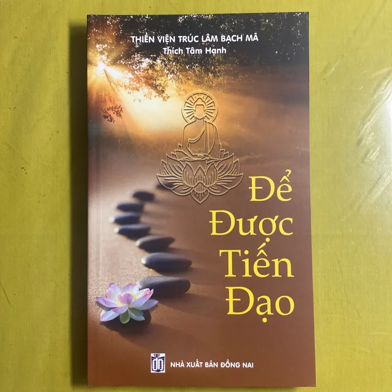 Để tiến được đạo - Thích Tâm Hạnh 605103