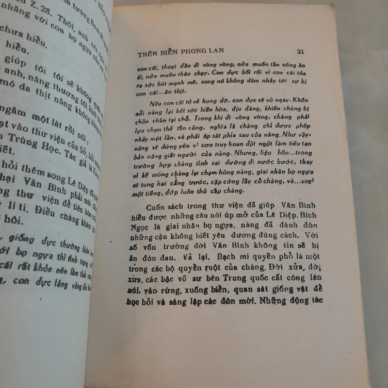 Z.28 BÃO NGẦM TRÊN BIỂN - PHONG LAN 752981
