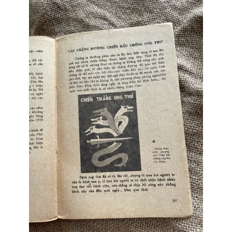 Bác sĩ Nguyễn Chấn Hùng - Tìm hiểu bệnh ung thư  973500