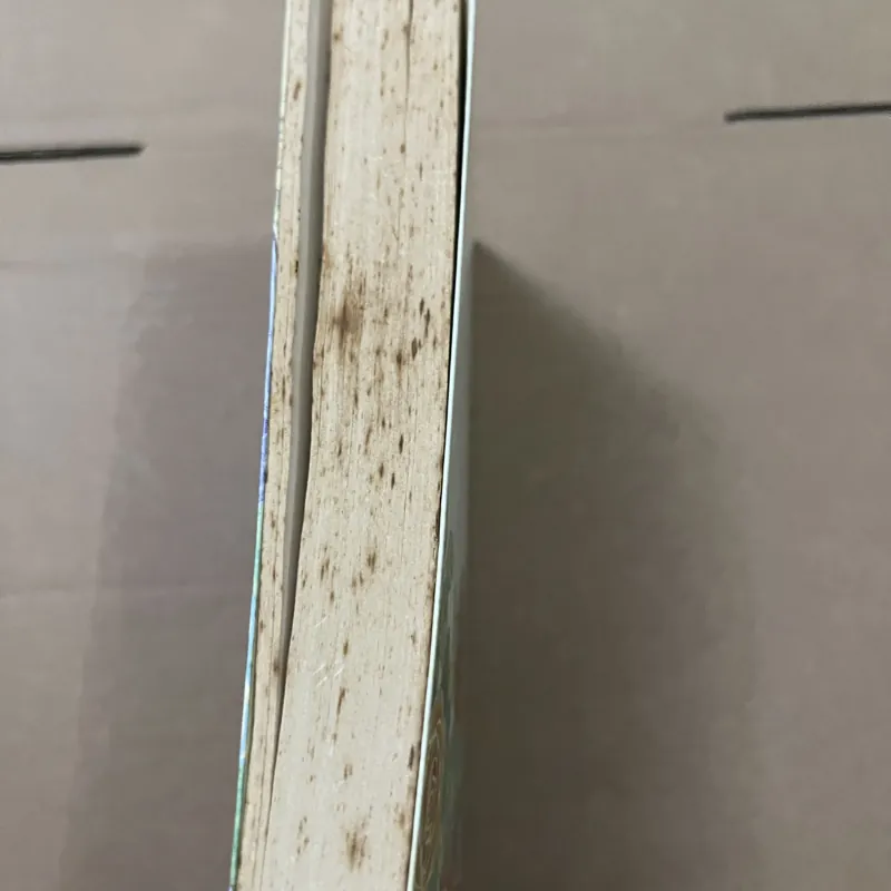 Kế hoạch của con trai 1008349