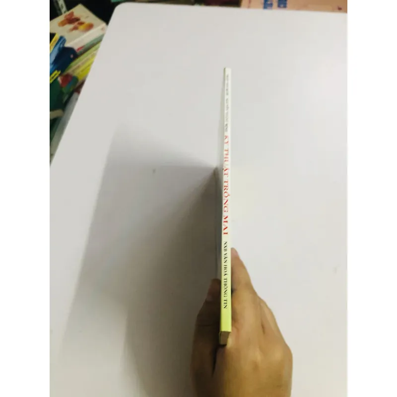 KỸ THUẬT TRỒNG MAI  595082