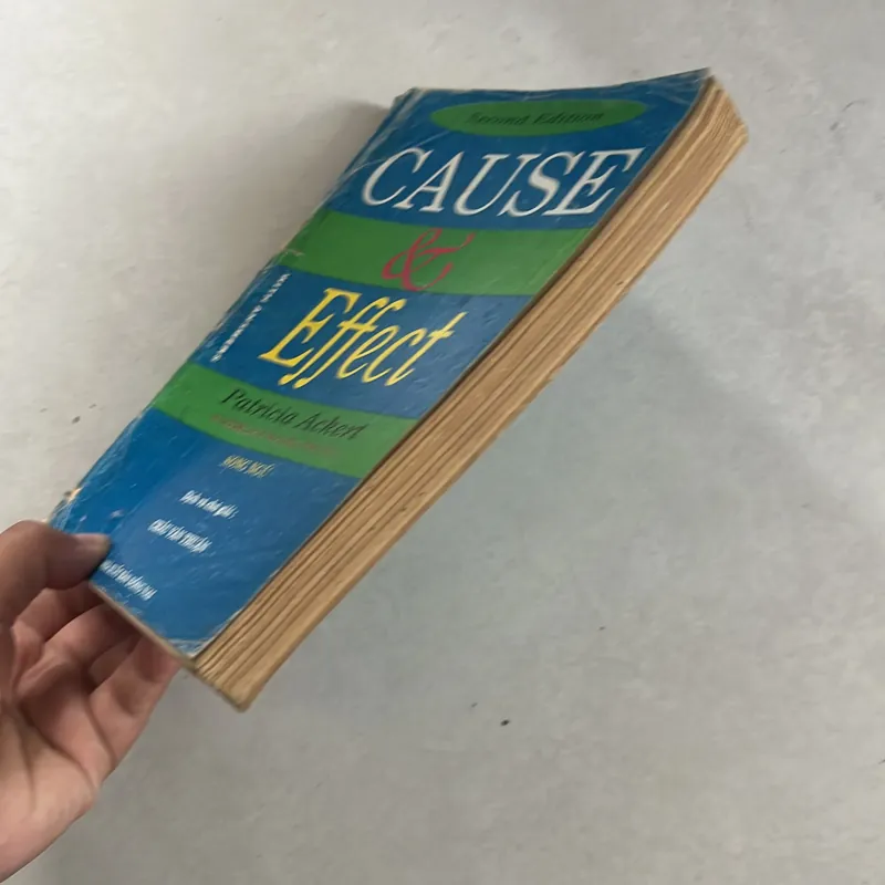 Cause & Effect (Song ngữ)  499429