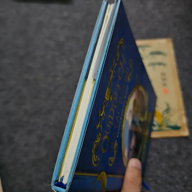 Quidditch qua các thời đại - Harry Potter 734063