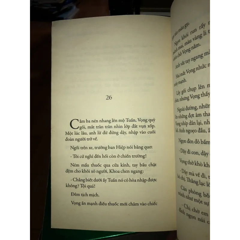 Vào cõi - Nguyễn Bình Phương  1018611