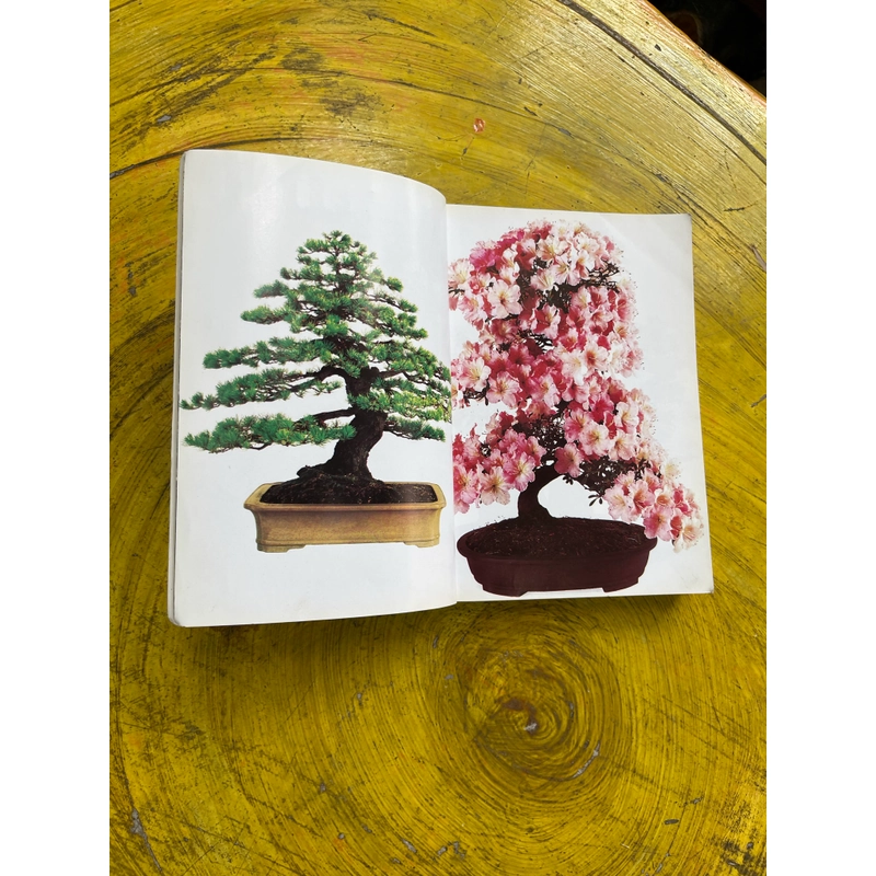 BONSAI TOÀN THƯ- HARRY TOMLINSON 543393