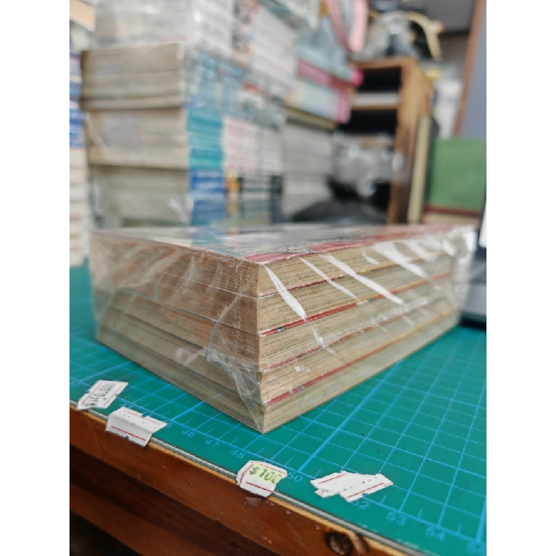 TRUYỆN TRANH Gia tộc Rồng - Kusakawa Nari 130620