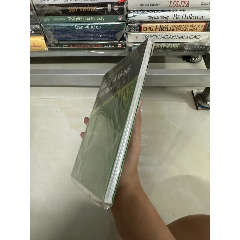 Một tư duy khác về kinh tế và xã hội Việt Nam - TS. Alan Phan 568211