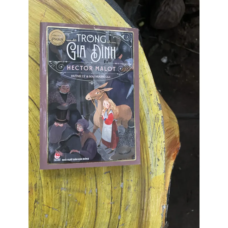 COMBO HECTOR MALOT- KHÔNG GIA ĐÌNH & TRONG GIA ĐÌNH 735560