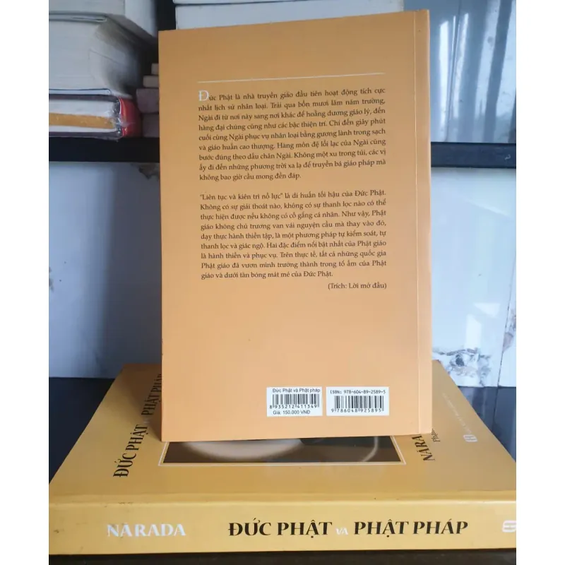 Đức Phật Và Phật Pháp 674325