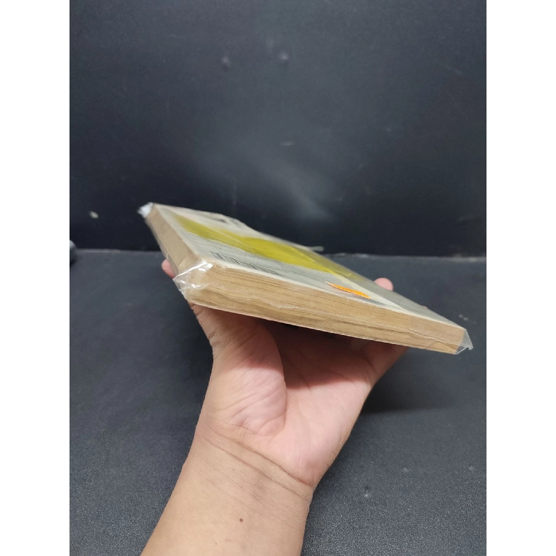 Dẫn luận Ngôn Ngữ học Nguyễn Thiện Giáp mới 80% bẩn bìa ố nhẹ HCM0806 kỹ năng 914843