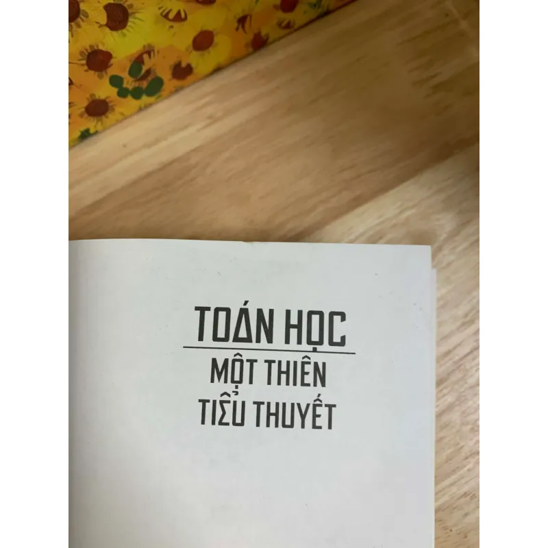 Toán Học Một Thiên Tiểu Thuyết - Mickael Launay 926325