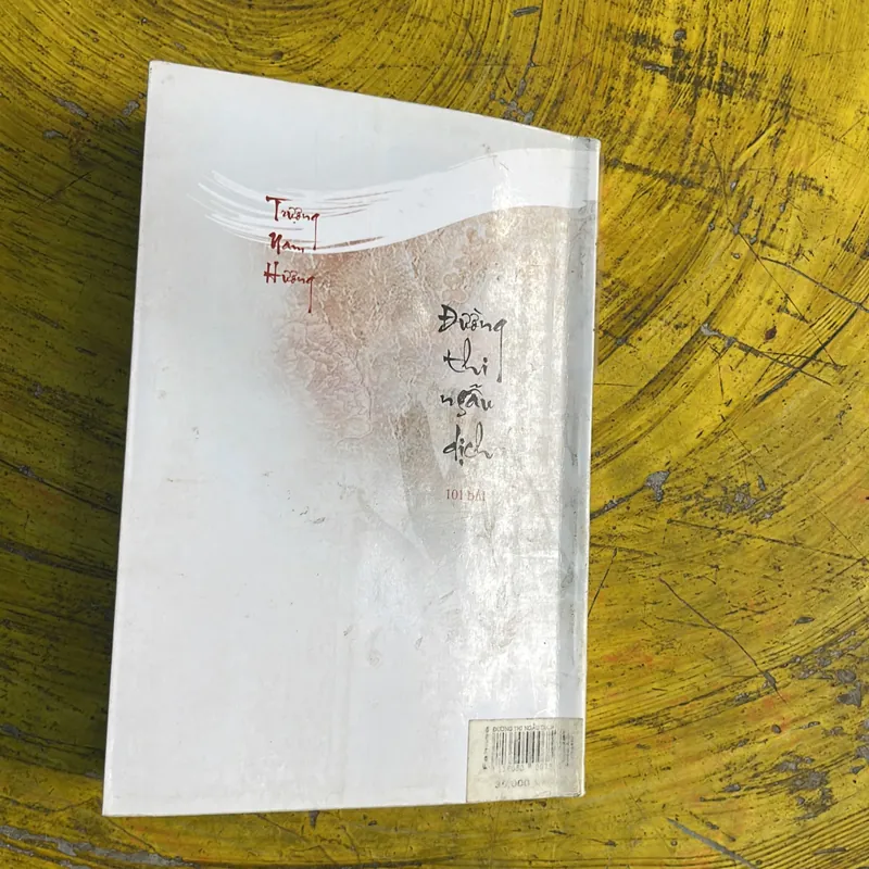 TRƯƠNG NAM HƯƠNG- ĐƯỜNG THI NGẪU DỊCH 101 BÀI 735731