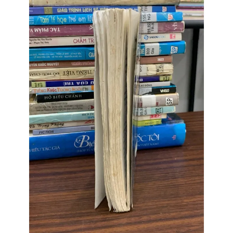 Đòng đưa sự đời — Hoàng Ngọc Sơn 591521