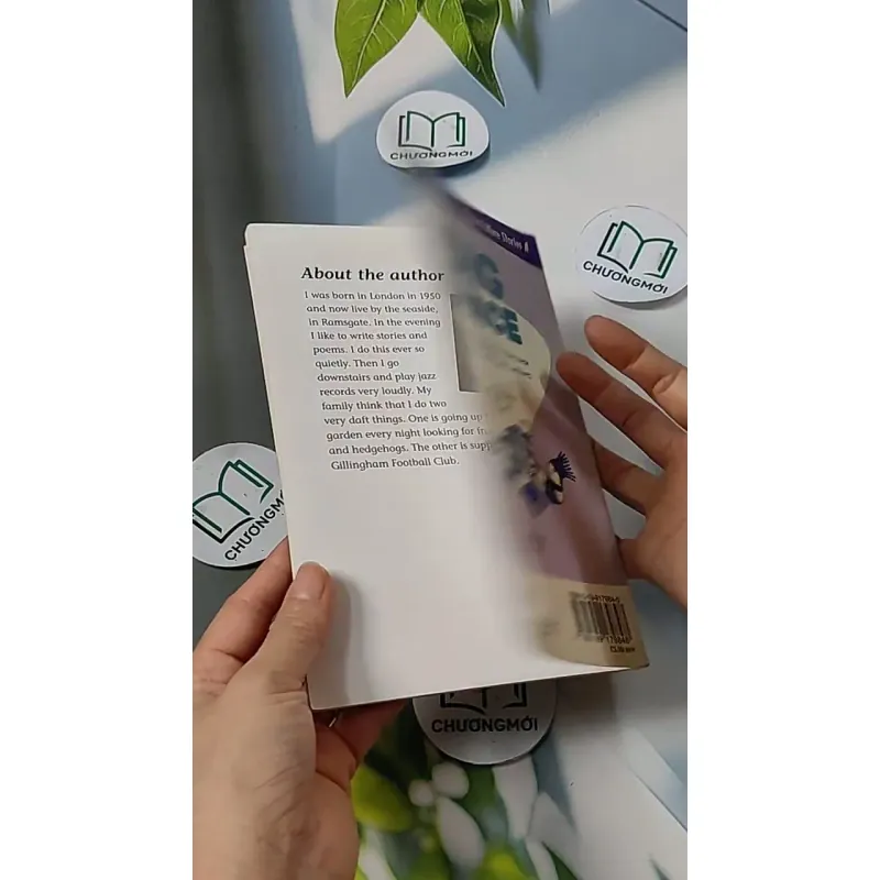 Oxford Reading Tree - Stage 11: TreeTops More Stories A: The Big Chance 703070