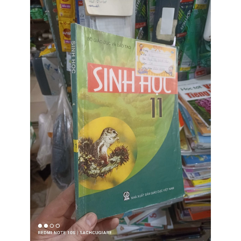 (TẶNG BOOKMARK) Sinh học 11 2020 mới 80% Giáo khoa RBK2702 951731