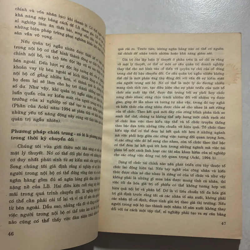 Quản trị doanh nghiệp trong các nền kinh tế chuyển đổi 726996