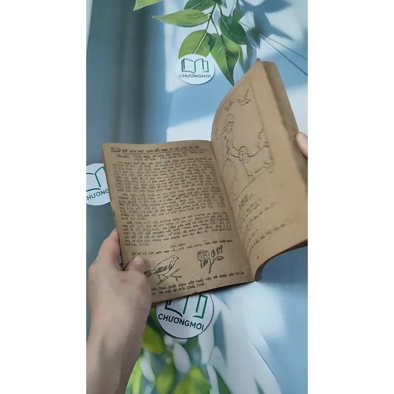 Những Truyện Tích Đầu Tiên Trong Kinh Thánh - Hội Thánh Tin Lành 775990