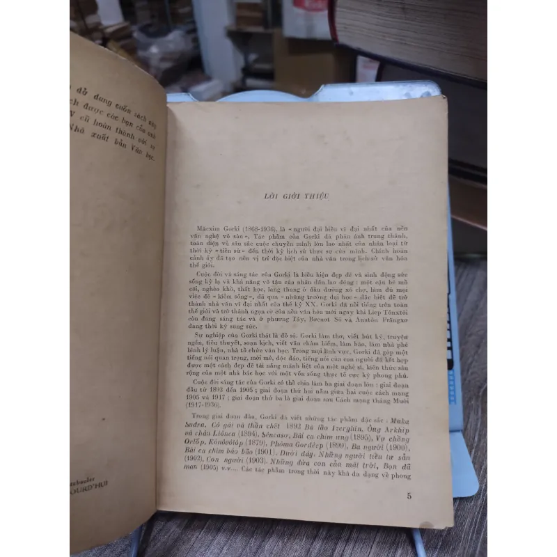 Sách: Người Mẹ - TG: Macxim Gorki (A2) 746878