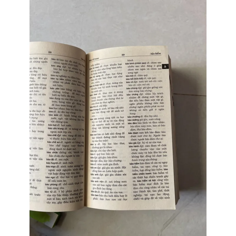 Từ Điển tiếng việt  775919