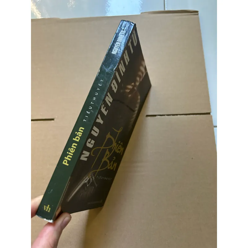 Phiên bản - Nguyễn Đình Tú 929753