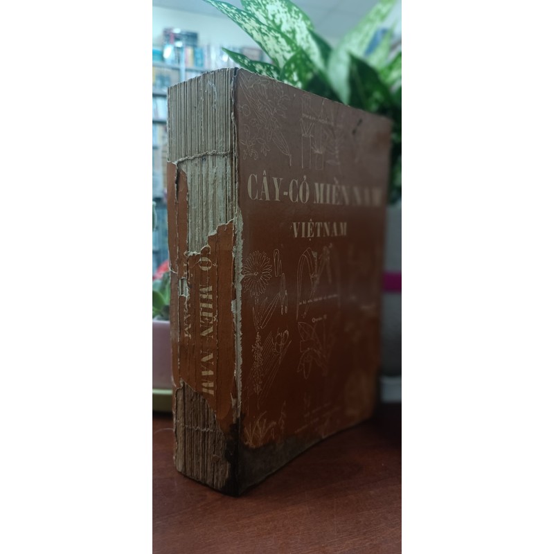 CÂY CỎ MIỀN NAM VIỆT NAM - Phạm Hoàng Hộ 194860