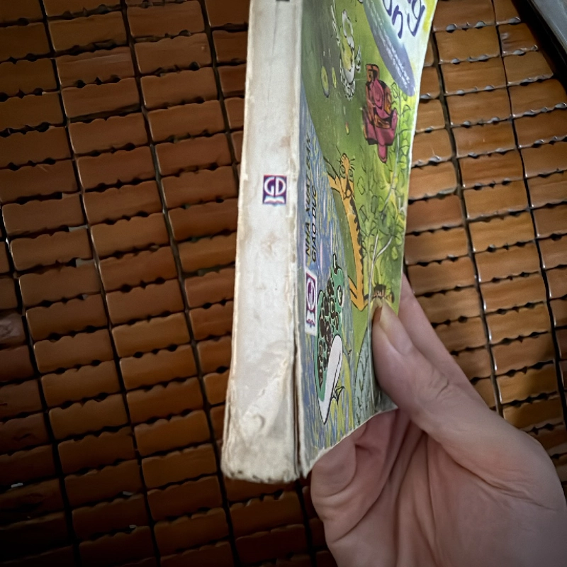Hạt nắng bé con 447379