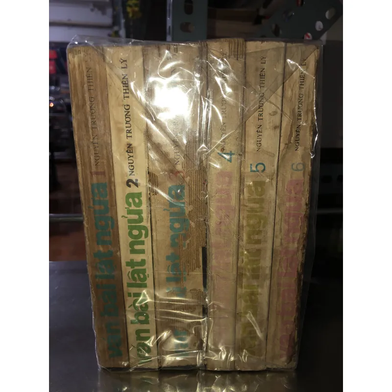 Ván bài lật ngửa - Nguyễn Trương Thiên Lý 931251