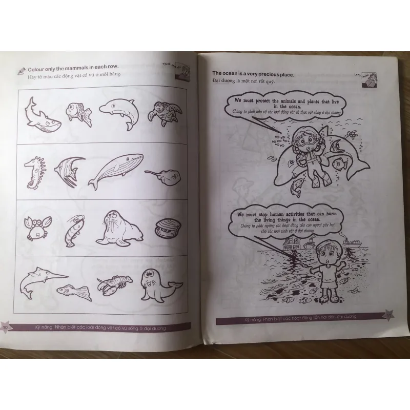 Cùng khám phá tiếng anh - Môi trường Sống - 3A 1004065