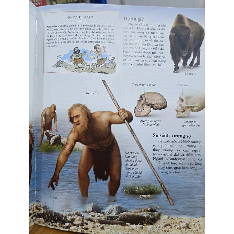 Bách khoa tri thức về khám phá thế giới cho trẻ em: NGƯỜI CỔ ĐẠI - Jim Pipe (biên soạn), Thu Phong (dịch) 737073