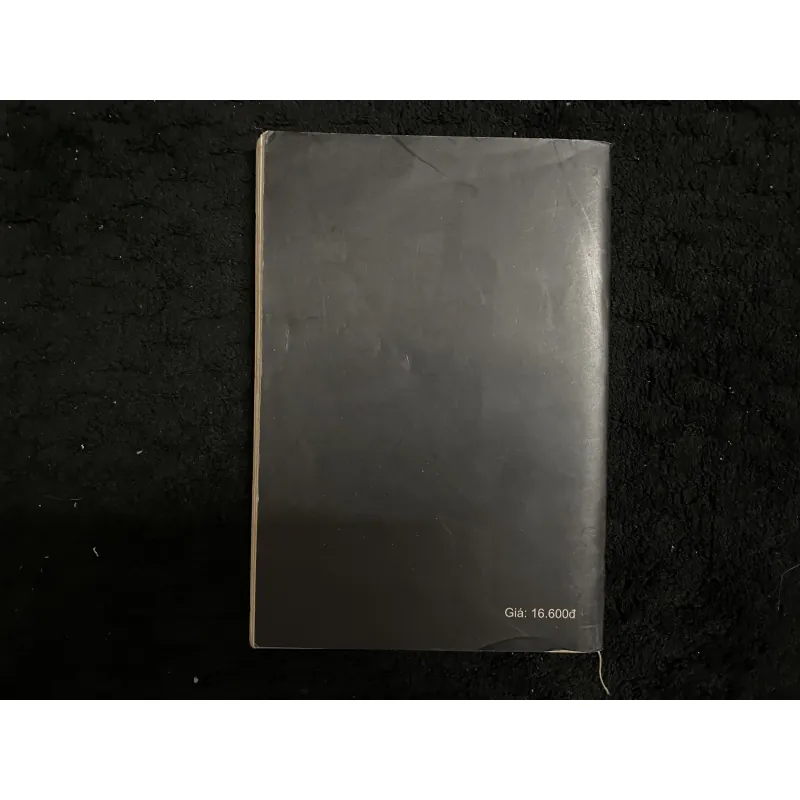 Tấm bình phong sơn mài- Robert Van Gulik 1021955