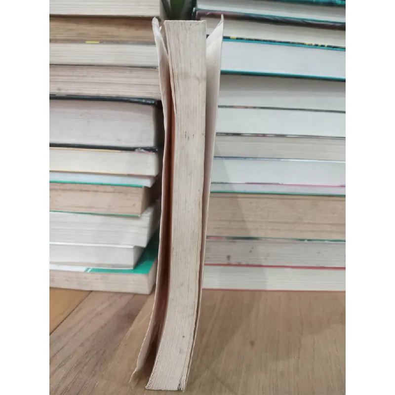 TRO BỤI - NGUYỄN TRỌNG NGHĨA 146299