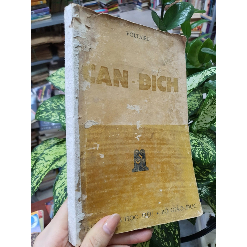 CAN ĐÍCH - VOLTAIRE 477266