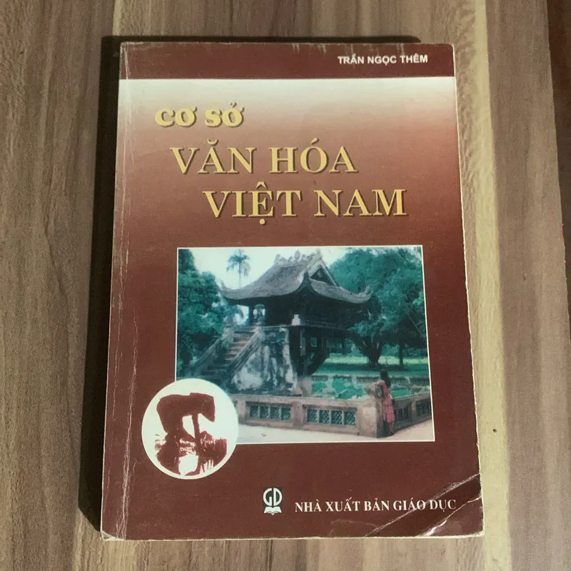 Cơ sở văn hoá Việt Nam, Trần Ngọc Thêm 713186