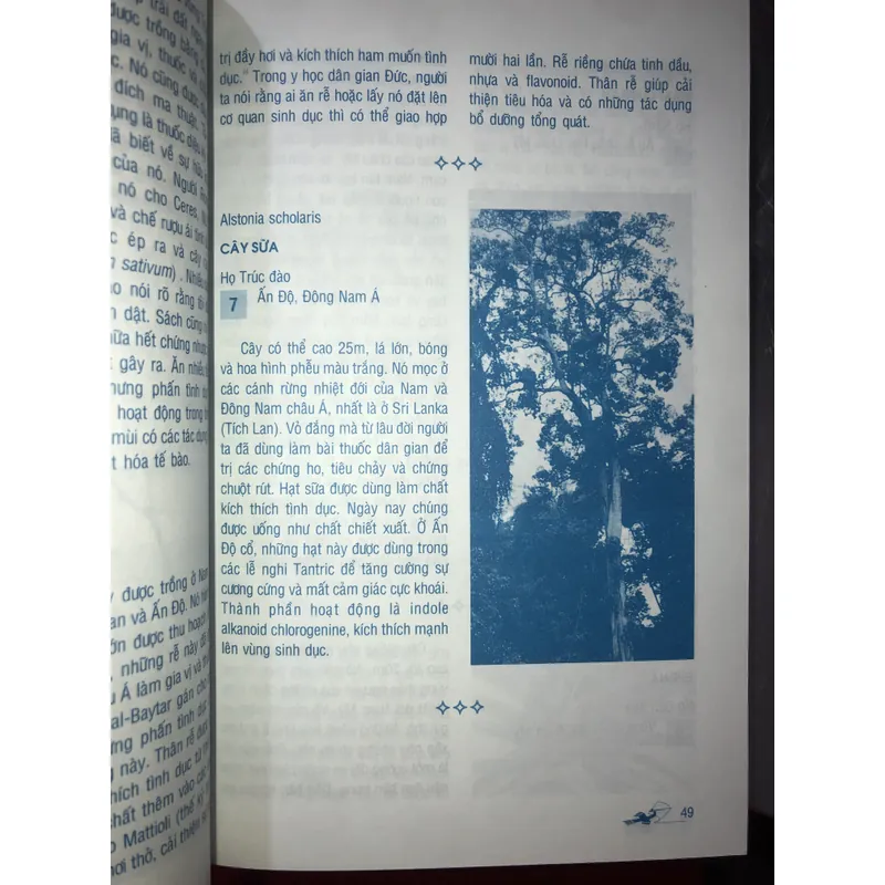 Thảo dược & tình yêu  714029