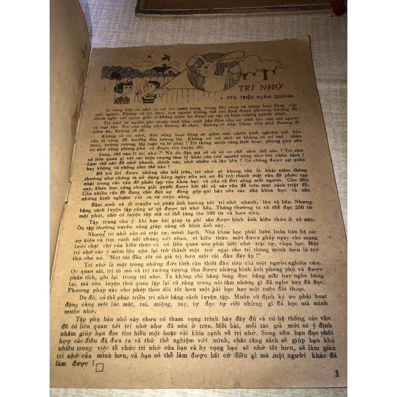 Rèn luyện trí nhớ 973091