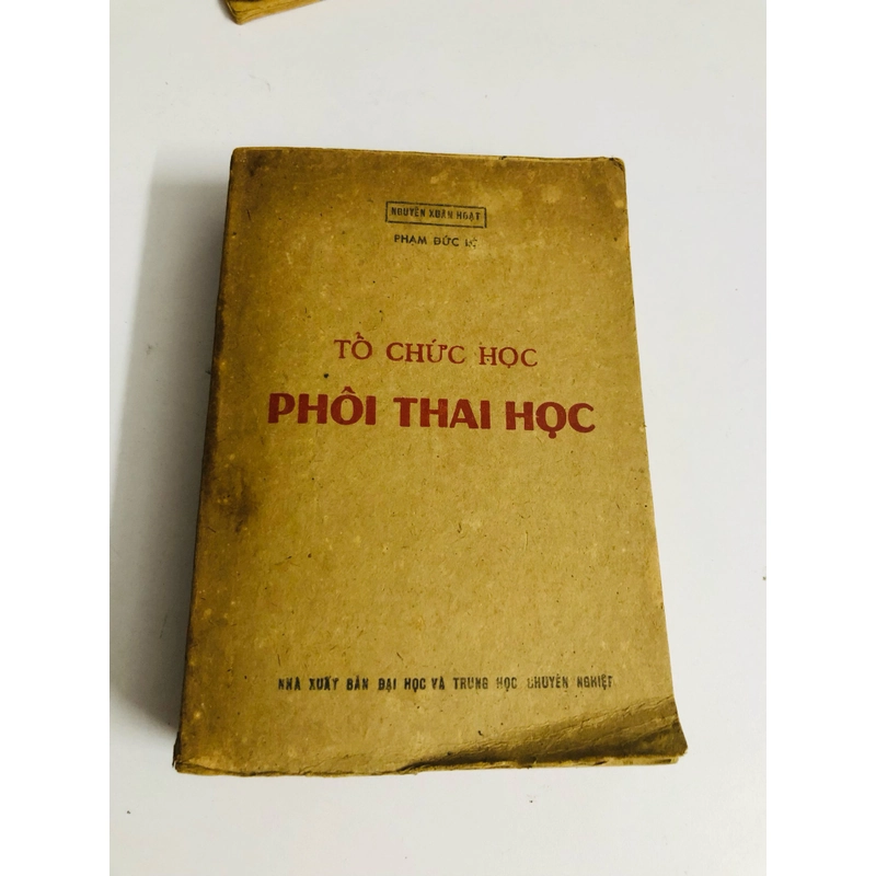 TỔ CHỨC HỌC PHÔI THAI HỌC  528079