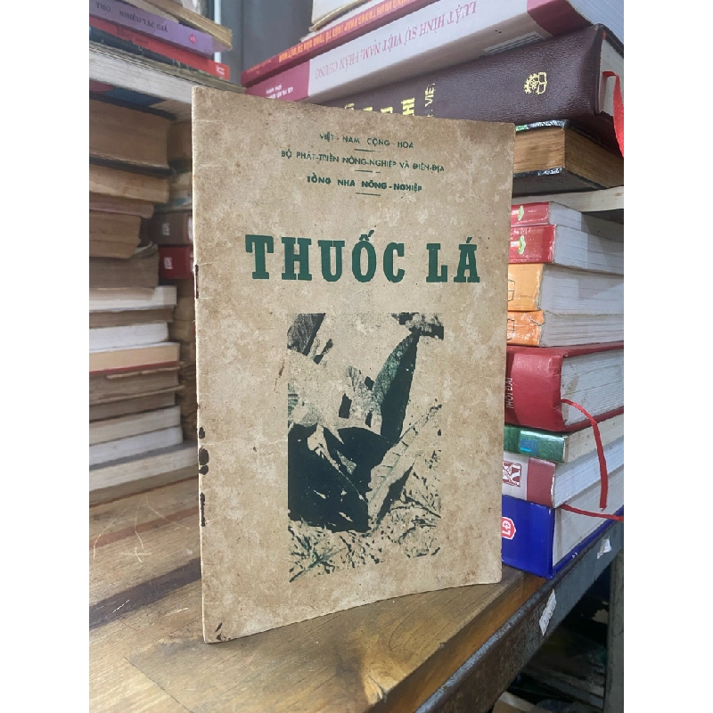 Thuốc lá - Tổng Nha Nông Nghiệp 335550