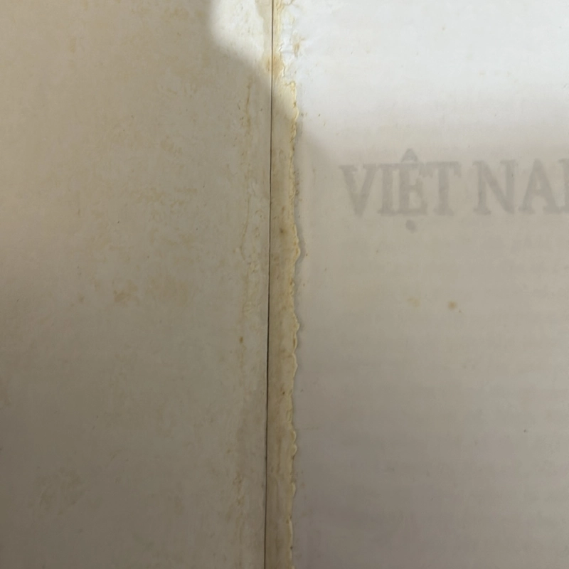 Việt Nam sử lược 497383