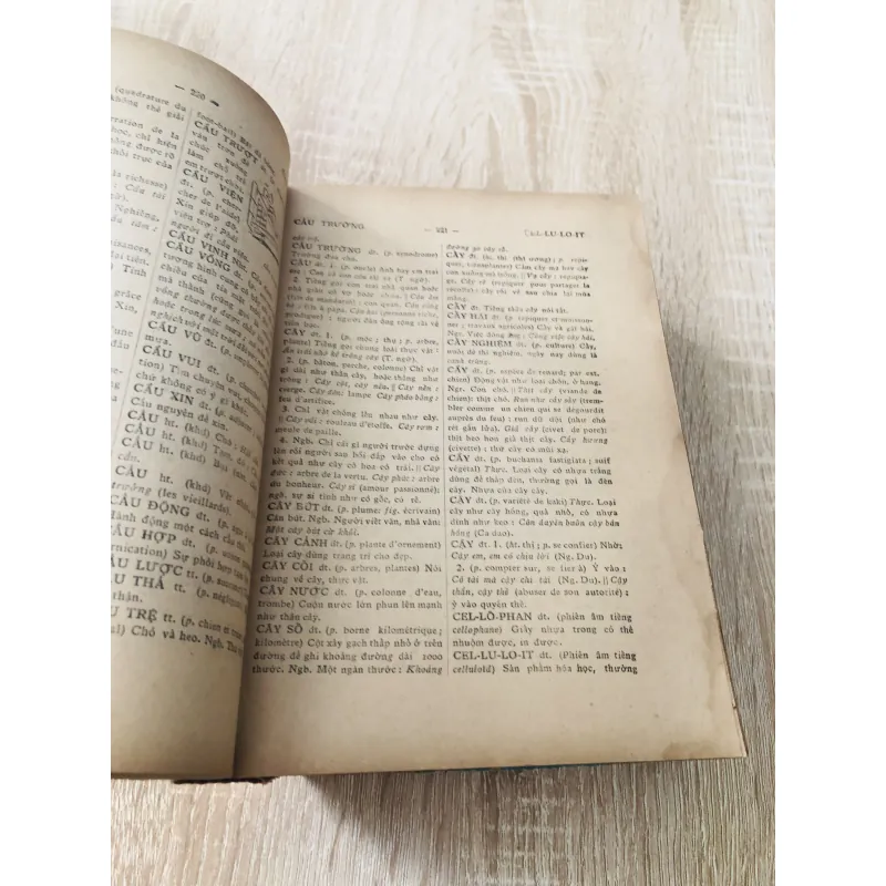 VIỆT NAM TÂN TỰ ĐIỂN 1966 995118