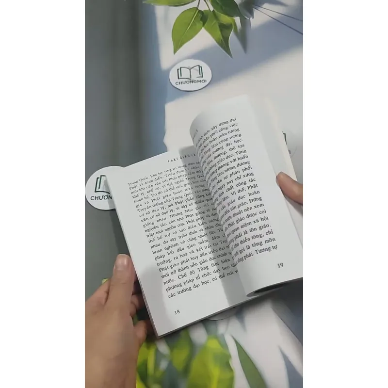 Phật Giáo Là Gì? 715592