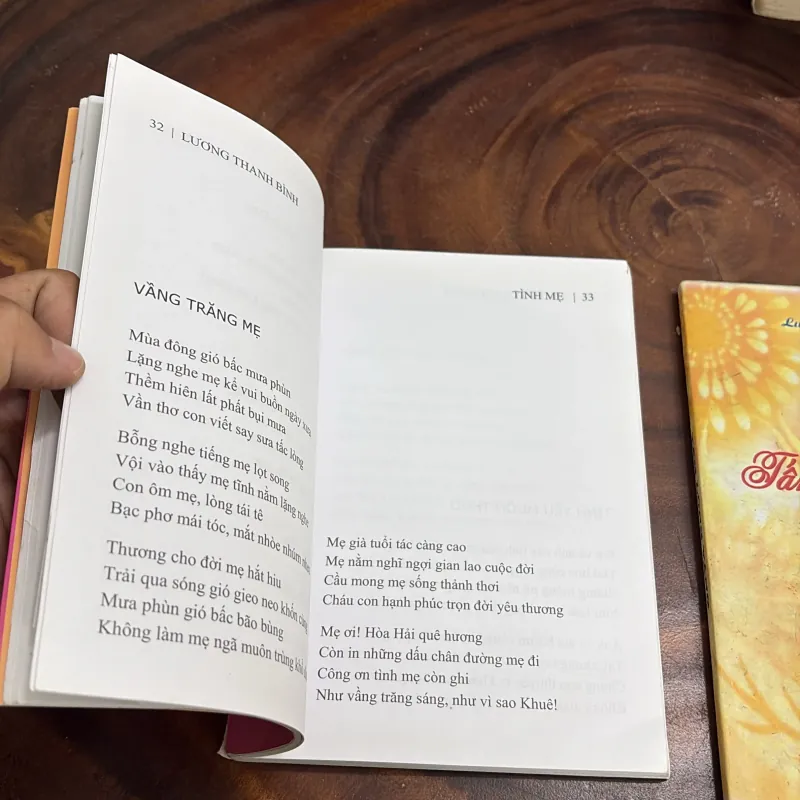 II Thơ: Tình Mẹ + Tấm Lòng Vàng - Lương Thanh Bình 998086