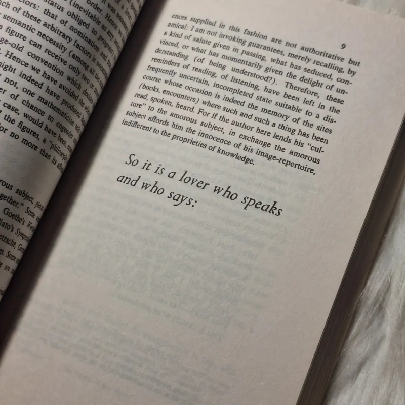 Roland Barthes  - A Lover's Discourse: Fragments 957099