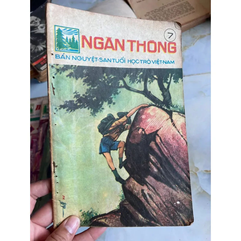NGÀN THÔNG - VI VI 995495