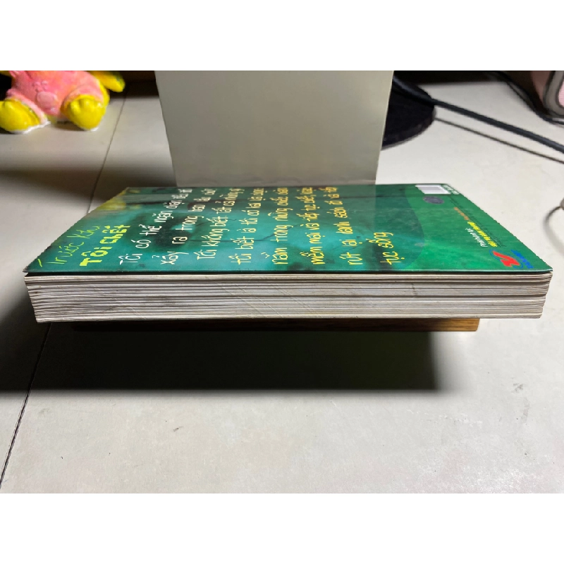 Trước Khi Tôi Chết- Tác giả Jenny Downham- NXB Văn Hoá Thông Tin 2008 453467