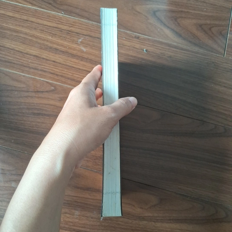 Diệp gia kiếm 508369