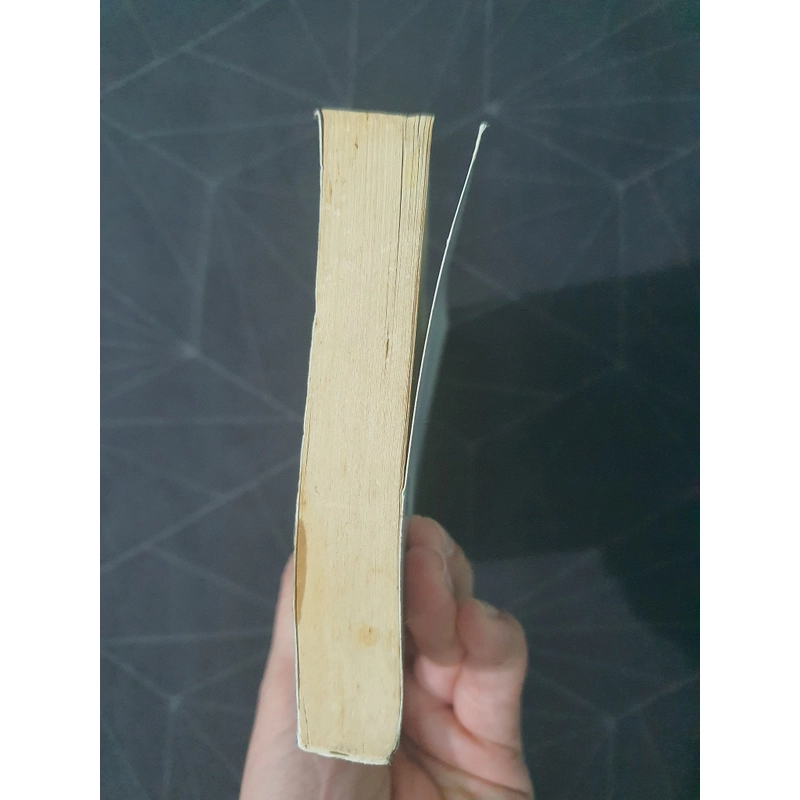"Mình là cá việc của mình là bơi" - Takeshi Furukawa 493162