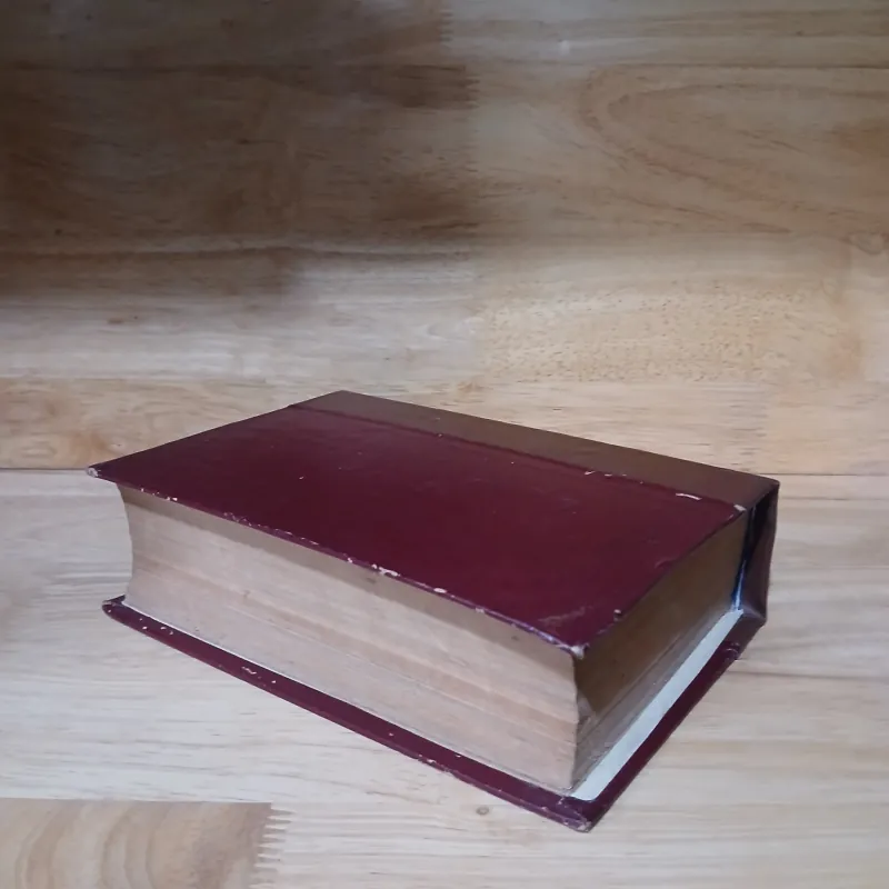 TỘI ÁC VÀ HÌNH PHẠT (NGUỒN SÁNG 1973) - DOSTOIEVSKI, LÝ QUỐC SINH dịch 1025196