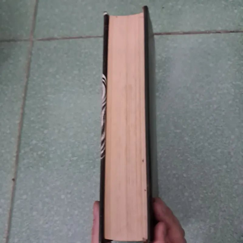 Chidren of blood anh bone- tomi adeyemi 997273